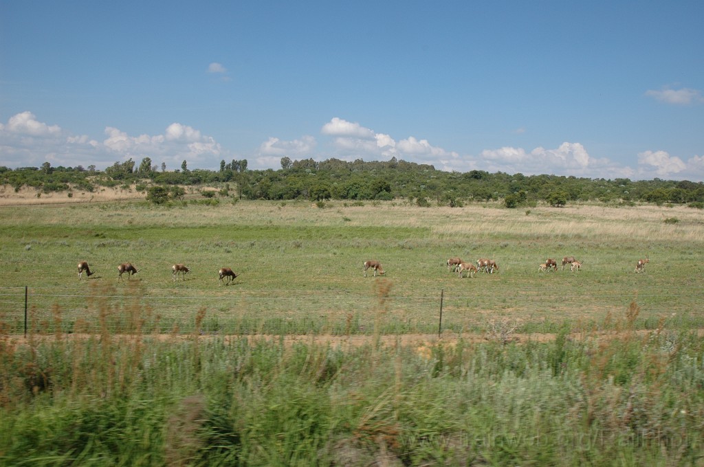 2278-0035-111211.jpg - Montrose 11.12.2011