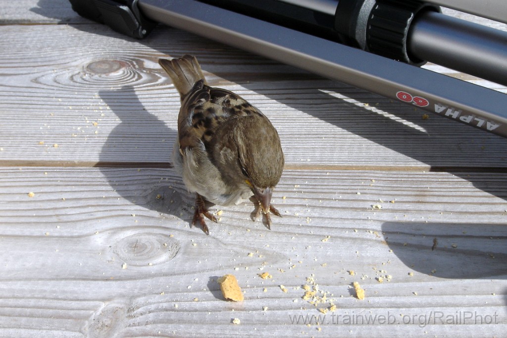 1375-0017-260807.jpg - Björkliden 26.8.2007