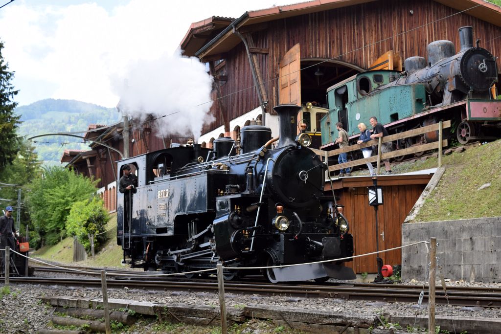 4956-0025-200518.jpg - BFD HG 3/4 3 / Chaulin (Bifurcation) 20.5.2018