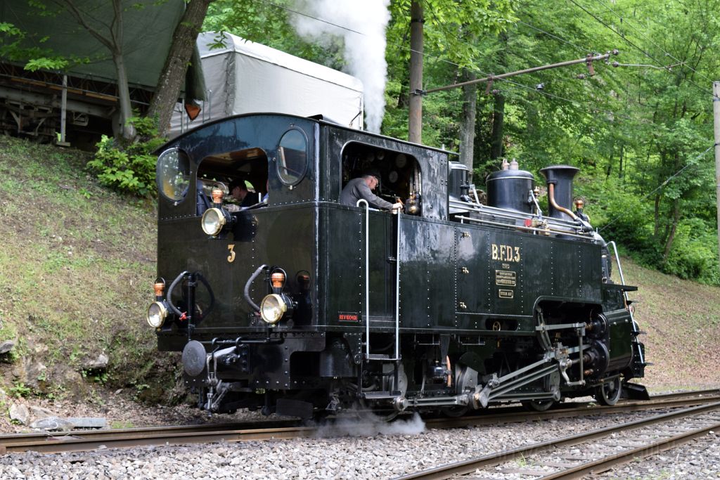 4956-0030-200518.jpg - BFD HG 3/4 3 / Chaulin (Bifurcation) 20.5.2018