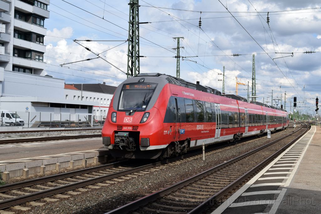 4457-0031-120517.jpg - DBAG 442.308 "Ebersdorf bei Coburg" / Fürth Hbf 12.5.2017