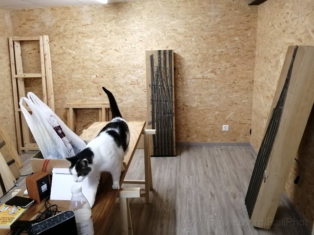 IMG_20200303_071416.jpg - 3.3.2020