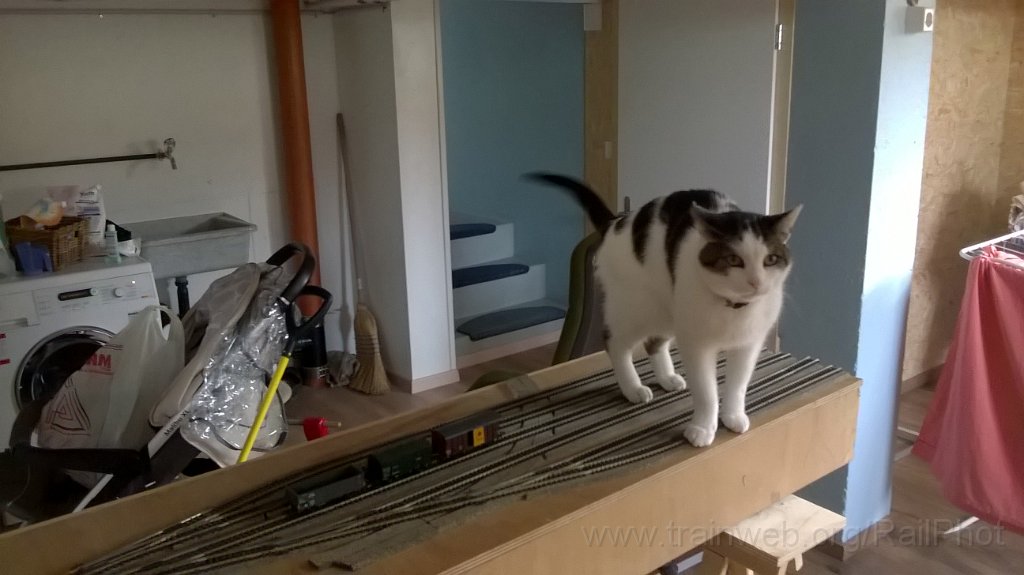 WP_20171009_13_33_13_Pro.jpg - 9.10.2017 Hürlimatt 2