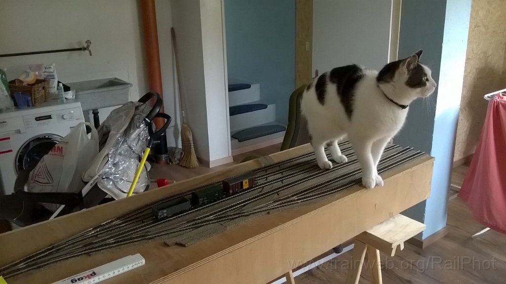 WP_20171009_13_33_16_Pro.jpg - 9.10.2017 Hürlimatt 2