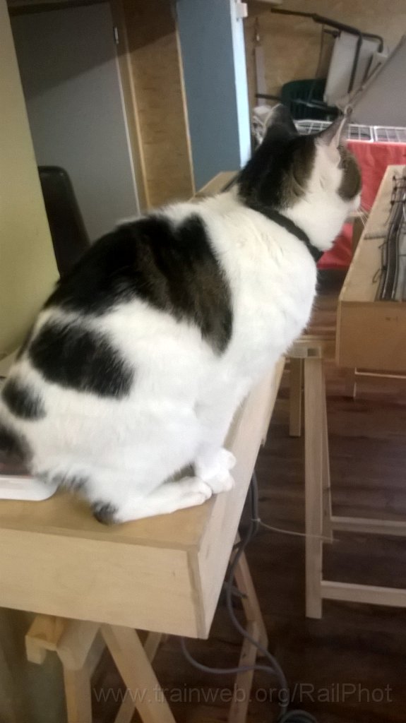 WP_20171010_18_22_59_Pro.jpg - 10.10.2017 Chatzegg - Hürlimatt