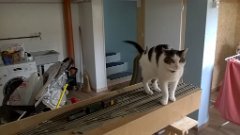 WP_20171009_13_33_13_Pro