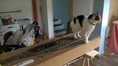 WP_20171009_13_33_16_Pro