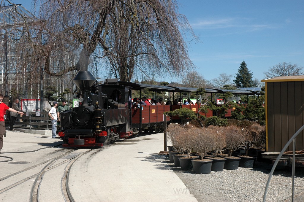2748-0044-140413.jpg - SchBB G 4/4 7349 "Taxus" / Schinznach 14.4.2013
