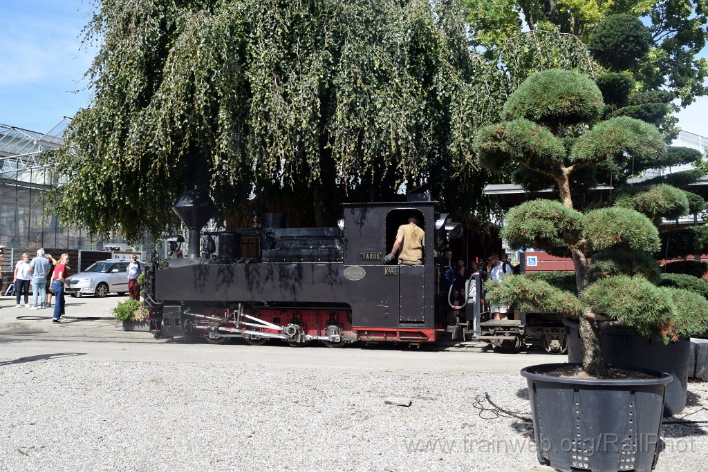 10005-0027-070925.jpg - SchBB G 4/4 7349 "Taxus" / Schinznach 7.9.2025