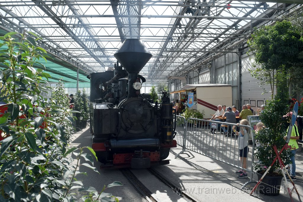 10005-0049-070925.jpg - SchBB G 4/4 7349 "Taxus" / Schinznach (Grossbahnfest) 7.9.2025