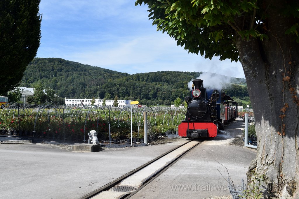 10006-0010-070925.jpg - SchBB G 3/3 13585 "Sequoia" / Schinznach (Baumschule) 7.9.2025