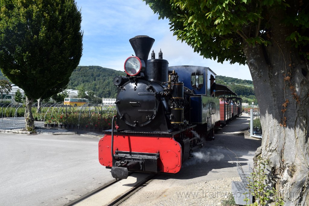 10006-0018-070925.jpg - SchBB G 3/3 13585 "Sequoia" / Schinznach (Baumschule) 7.9.2025