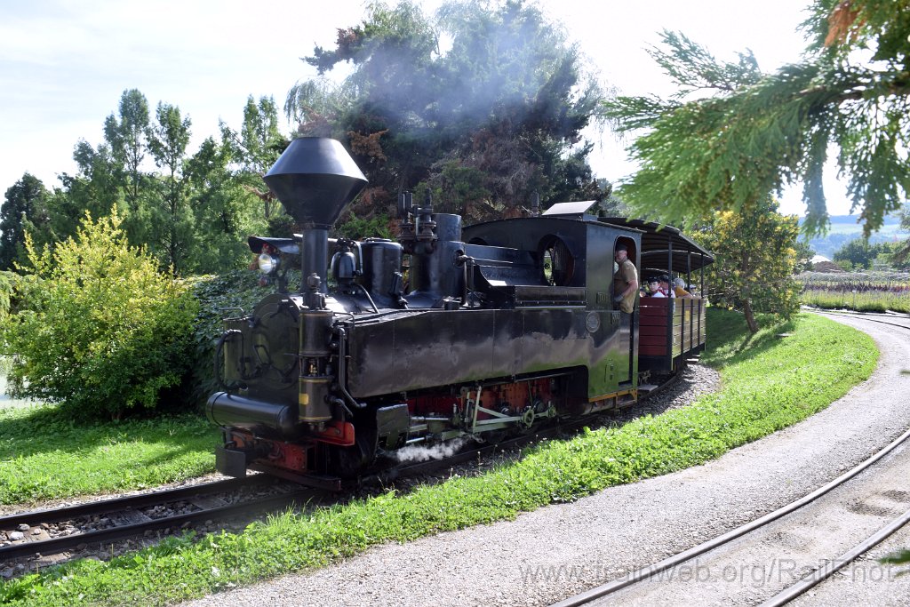 10006-0036-070925.jpg - SchBB G 4/4 7349 "Taxus" / Schinznach (Baumschulsee) 7.9.2025