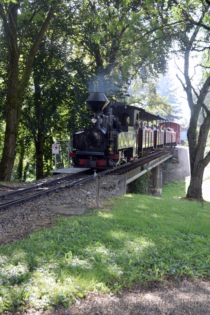 10008-0025-070925.jpg - SchBB G 4/4 7349 "Taxus" / Schinznach (Brücke Baumschulsee) 7.9.2025