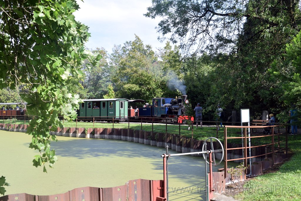 10009-0024-070925.jpg - SchBB G 3/3 13585 "Sequoia" / Schinznach (Baumschulsee) 7.9.2025