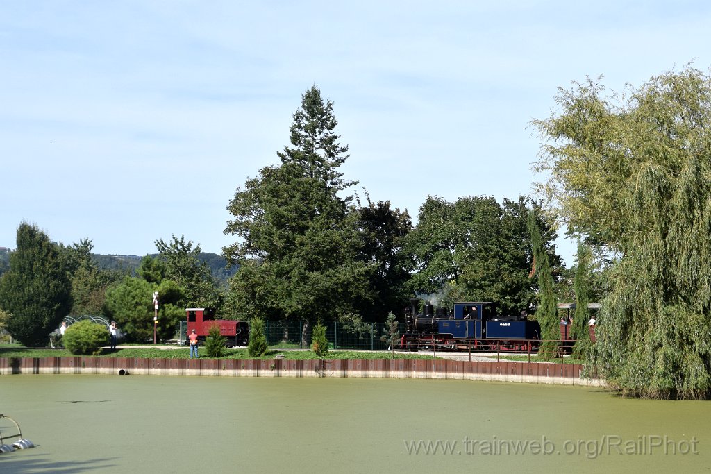 10010-0019-070925.jpg - SchBB G 3/3 13585 "Sequoia" + DFL90 3 "Diema" / Schinznach (Baumschulsee) 7.9.2025