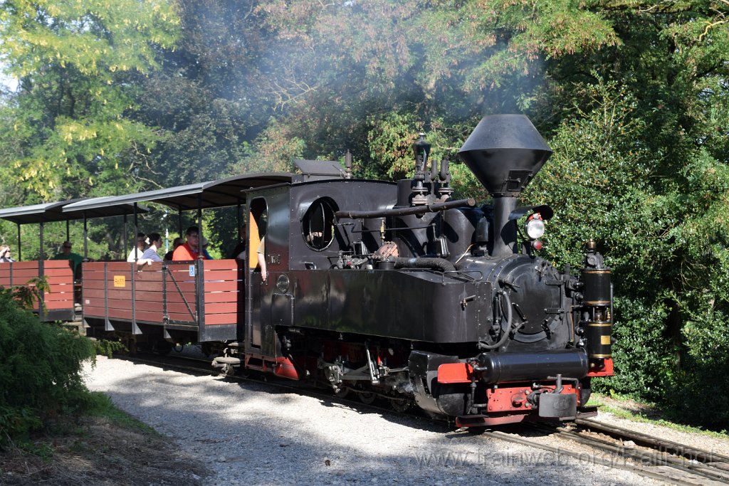 10012-0007-070925.jpg - SchBB G 4/4 7349 "Taxus" / Schinznach (Reggia da Robert) 7.9.2025