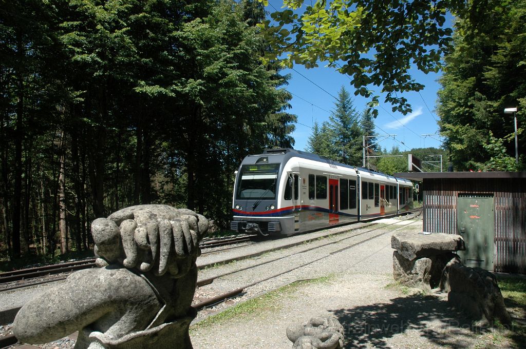 3617-0049-280615.jpg - BDWM ABe 4/8 5009 "Rudolfstetten - Friedlisberg" / Erdmannlistein 28.6.2015