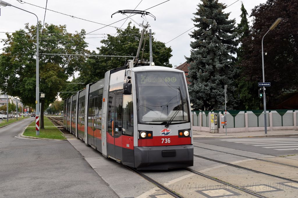 5089-0016-170718.jpg - WVB ULF-B1 736 / Aspern Oberdorfstrasse 17.7.2018
