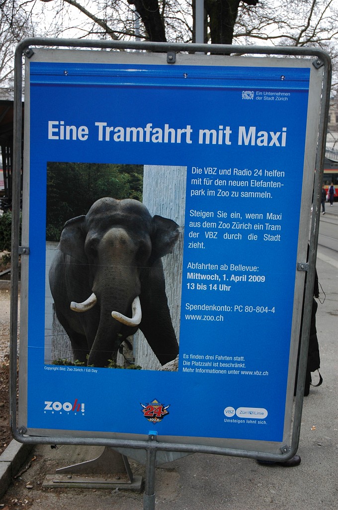 1636-0024-010409.jpg - "Eine Tramfahrt mit Maxi" / Bahnhof Stadelhofen 1.4.2009