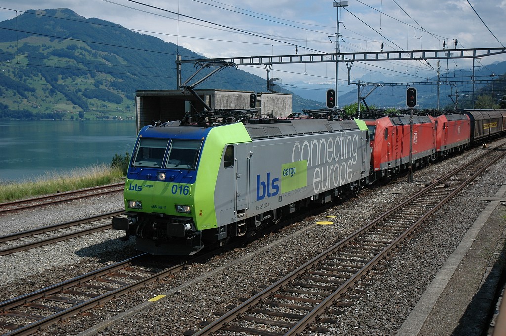1700-0026-200709.jpg - BLS Re 485.016-0 + DBAG 185.099-9 + 185.127-8 / Immensee 20.7.2009 / Immensee 20.7.2009