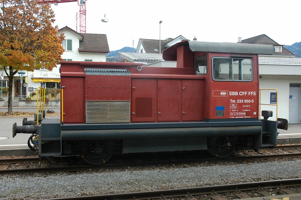 1797-0032-071109.jpg - VHM/SBB-CFF Tm 233.950-5 / Hinwil 7.11.2009