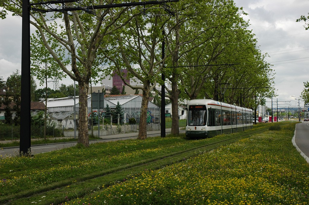 1891-0016-110610.jpg - StwA NGT8-2 882 / Oerlikerhus 11.6.2010