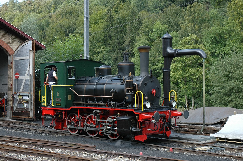 2159-0026-310711.jpg - ZMB E 3/3 5 «Schnaaggi-Schaaggi» / Sihlwald 31.7.2011
