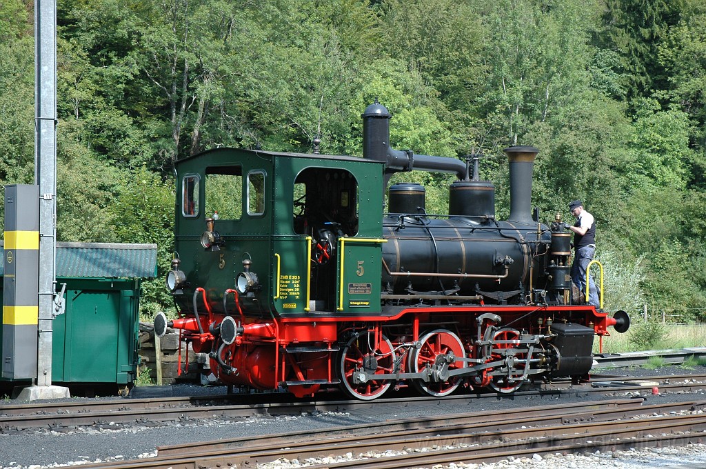 2159-0050-310711.jpg - ZMB E 3/3 5 «Schnaaggi-Schaaggi» / Sihlwald 31.7.2011