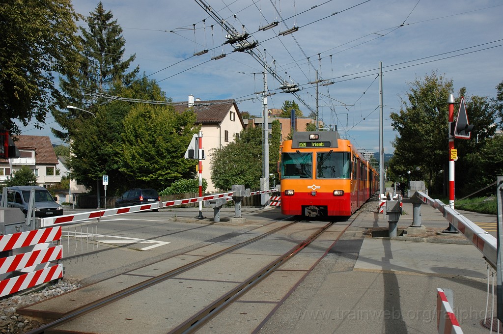 2163-0011-110811.jpg - SZU Be 556.532-0 / Friesenberg 11.8.2011