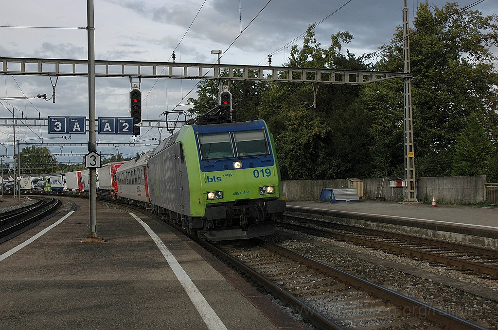 2187-0046-070911.jpg - BLS Re 485.019-4 / Langenthal 7.9.2011
