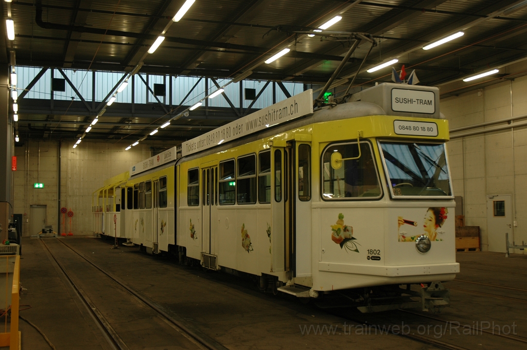 2428-0048-030612.jpg - VBZ Be 6/6 1802 «Sushi-Tram» / Oerlikon 3.6.2012