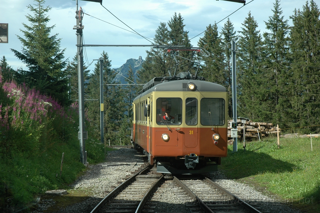 2554-0048-050812.jpg - BLM Be 4/4 31 / Winteregg 5.8.2012