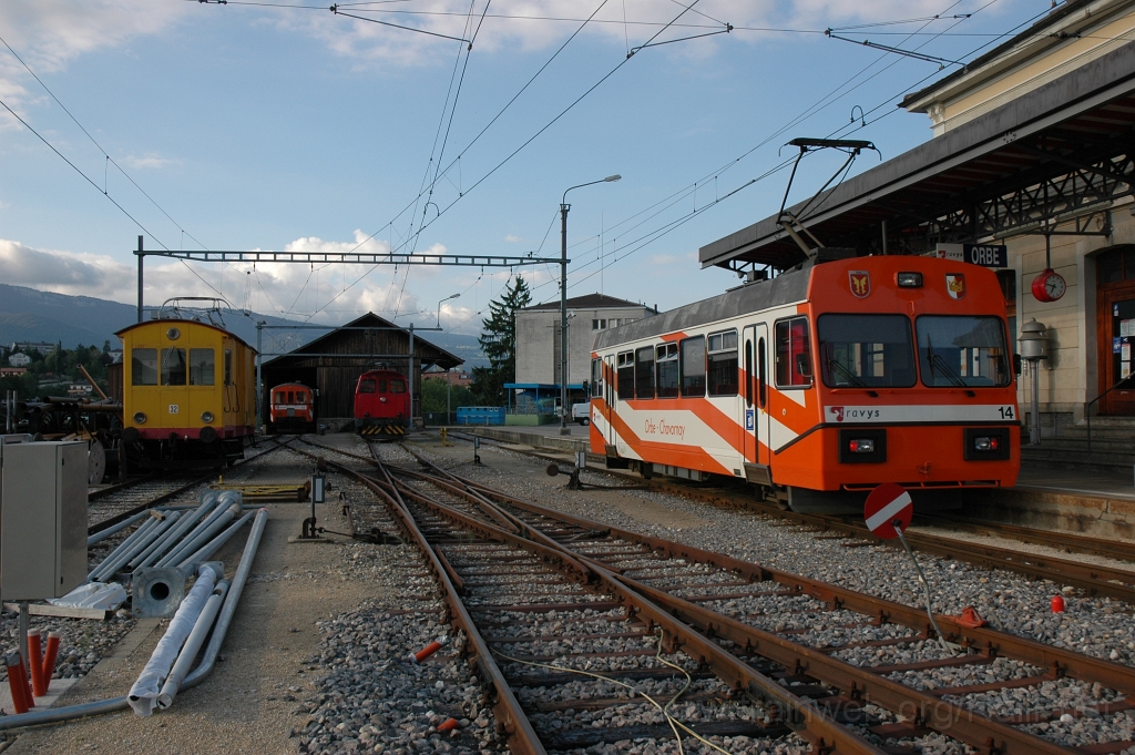 2571-0050-130812.jpg - OC Be 2/2 14 + Fe 2/2 32 + Ee 2/2 1 + BDe 4/4 13 / Orbe 12.8.2012
