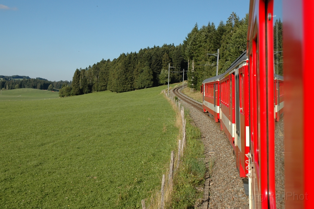 2904-0040-110813.jpg - CJ Bt 704 + BDe 4/4' 603 + BDe 4/4' 608 / Le Noirmont 11.8.2013