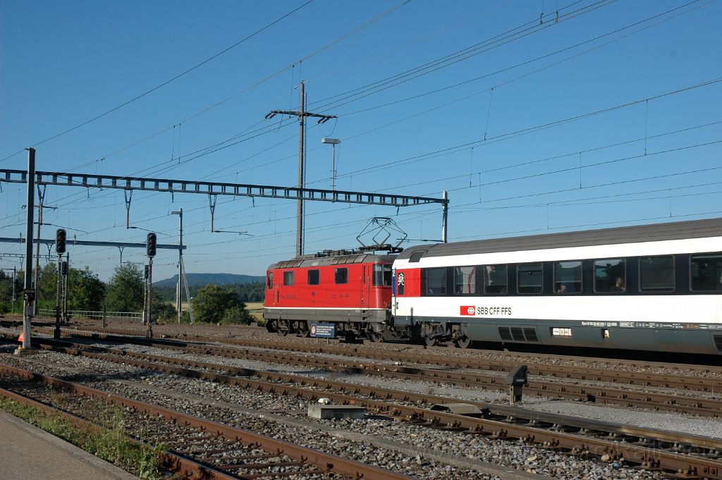 3629-0001-300615.jpg - SBB-CFF Re 4/4'' 11116 / Niederglatt 30.6.2015