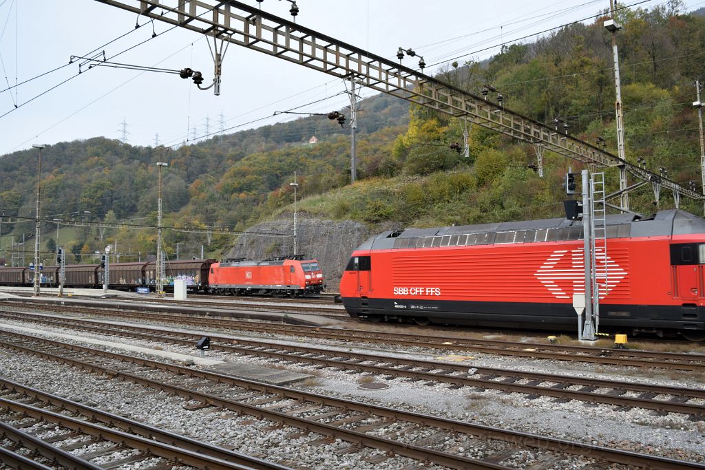 3708-0036-221015.jpg - DBAG 185.104-7 + SBB-CFF Re 460.052-4 "Eigenamt" / Ziegelbrücke 22.10.2015