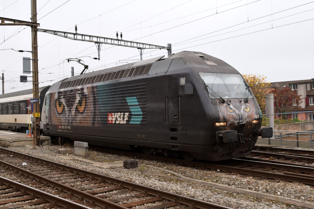 3775-0036-131115.jpg - SBB-CFF Re 460.105-0 "Fürstenland" / Lausanne 13.11.2015