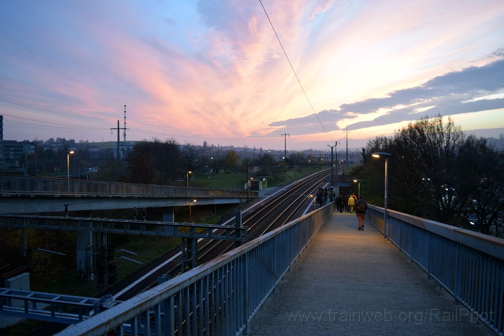 3782-0028-131115.jpg - Denges-Echandens 13.11.2015