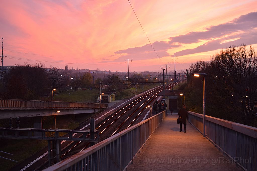 3782-0030-131115.jpg - Denges-Echandens 13.11.2015