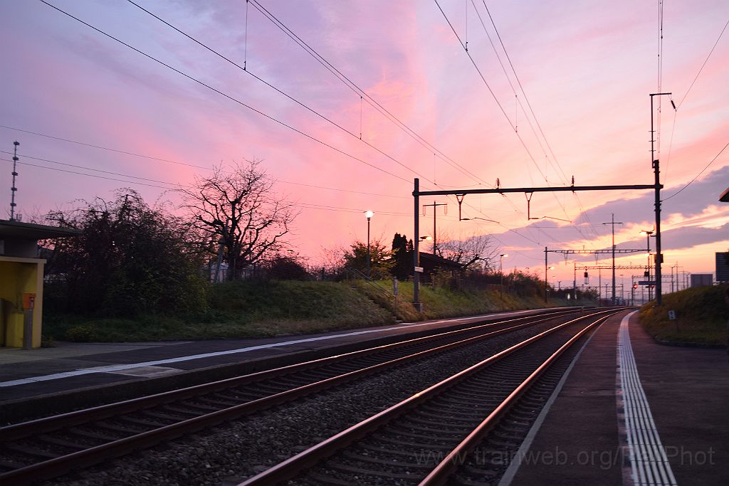 3782-0038-131115.jpg - Denges-Echandens 13.11.2015