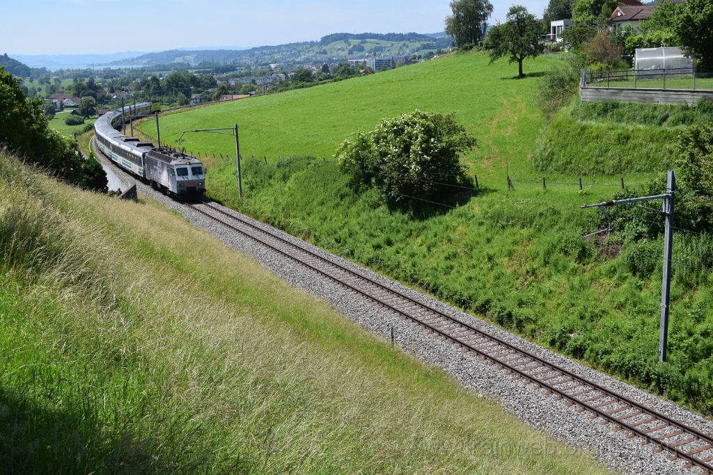 3961-0007-100616.jpg - SOB Re 446.017-6 "Ein Hauch Sehnsucht" + Re 446.018-4 "Akademie St.Gallen" / Kaltbrunn 10.6.2016