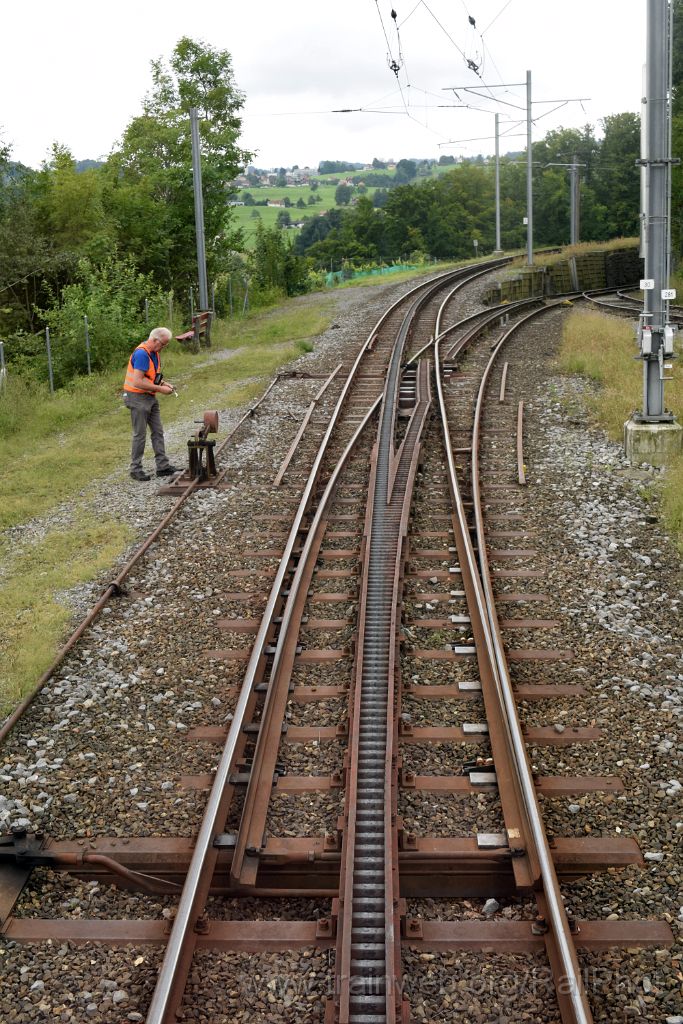 4591-0041-060817.jpg - Wienacht-Tobel 6.8.2017