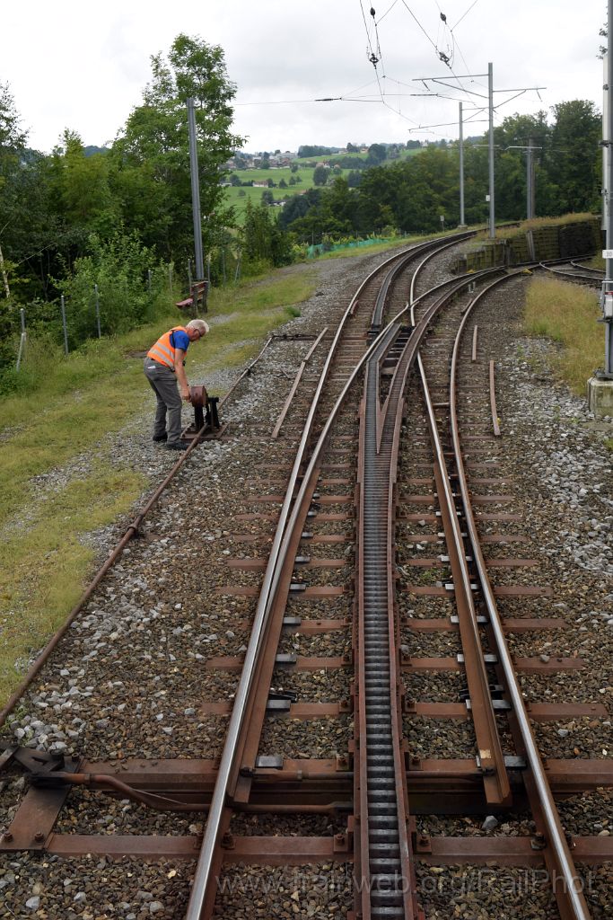 4591-0045-060817.jpg - Wienacht-Tobel 6.8.2017