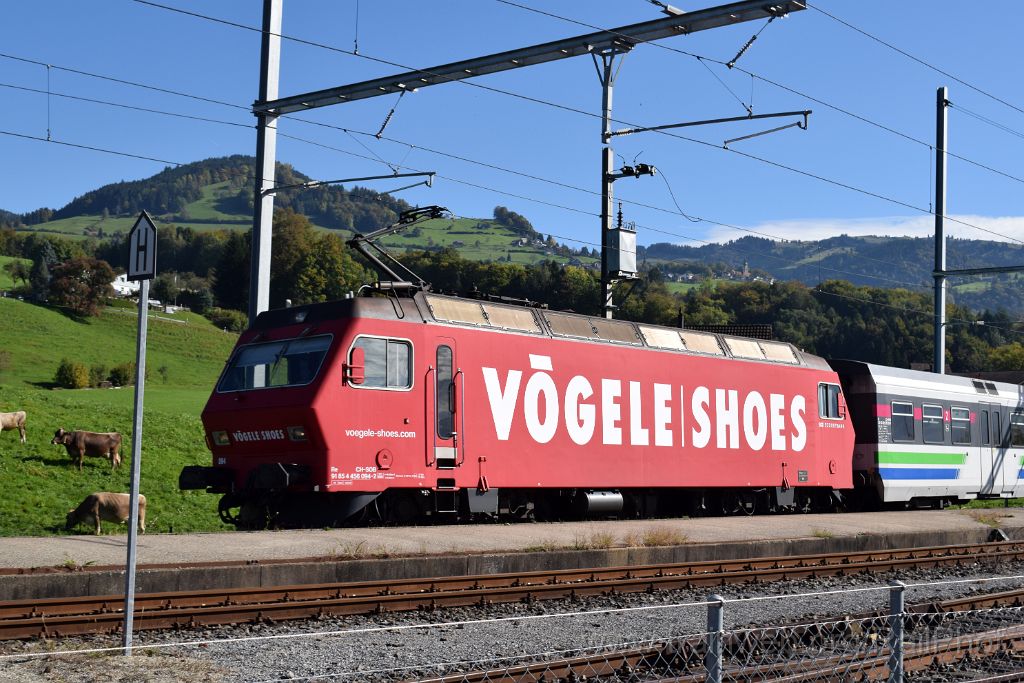 4689-0042-051017.jpg - SOB Re 456.094-2 "Herisau / Vögele" / Kaltbrunn 5.10.2017