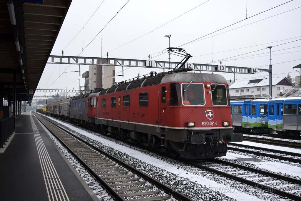 8918-0049-100124.jpg - SBB-CFF Re 6/6 11631 "Dulliken" + Re 620.089-3 "Gerra-Gambalogno" / Arth-Goldau 10.1.2024