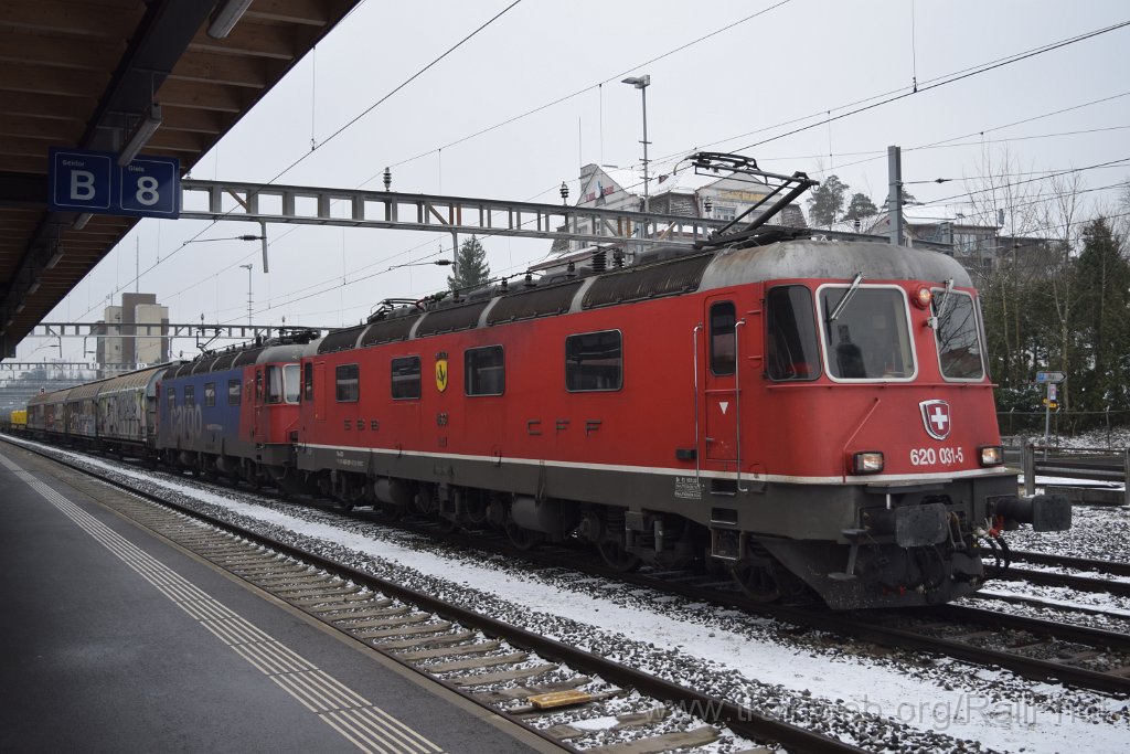 8919-0030-100124.jpg - SBB-CFF Re 6/6 11631 "Dulliken" + Re 620.089-3 "Gerra-Gambalogno" / Arth-Goldau 10.1.2024