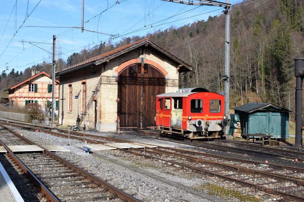 8960-0032-060224.jpg - ZMB Tm 10 / Sihlwald 6.2.2024