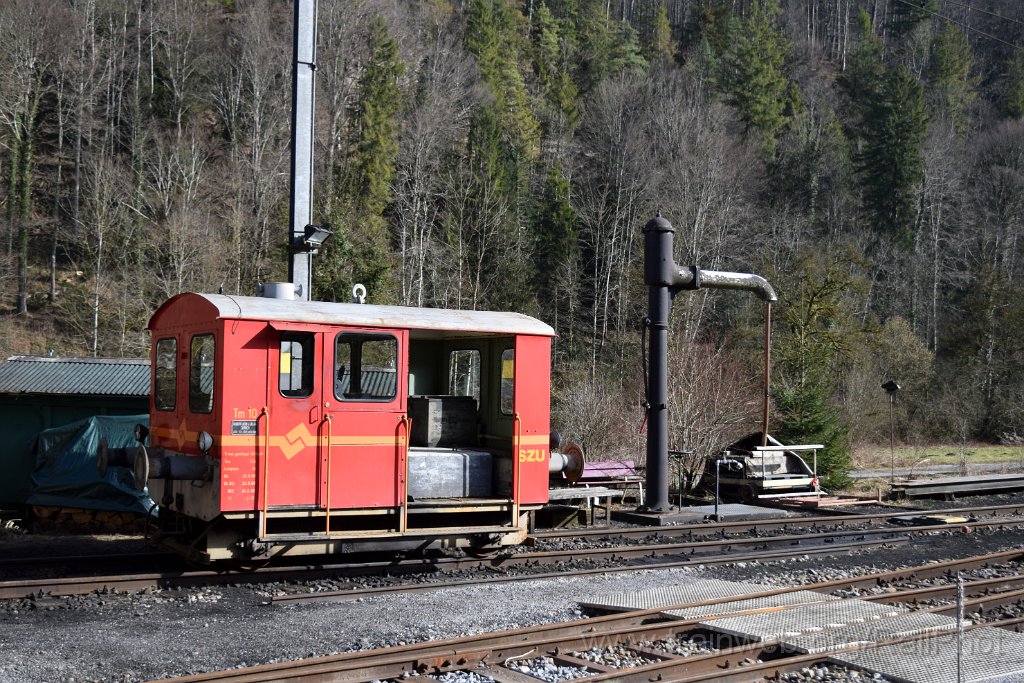 8960-0034-060224.jpg - ZMB Tm 10 / Sihlwald 6.2.2024