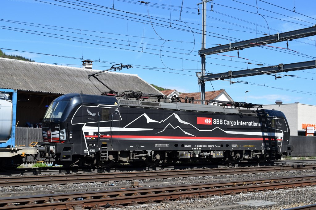 9069-0006-270424.jpg - SBB-CFF 193.666 "Thunersee" / Sissach 27.4.2024